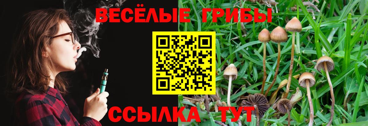 Псилоцибиновые грибы Magic Shrooms  Псилоцибиновые грибы MAGIC MUSHROOMS  Вход с VPN  Реж 